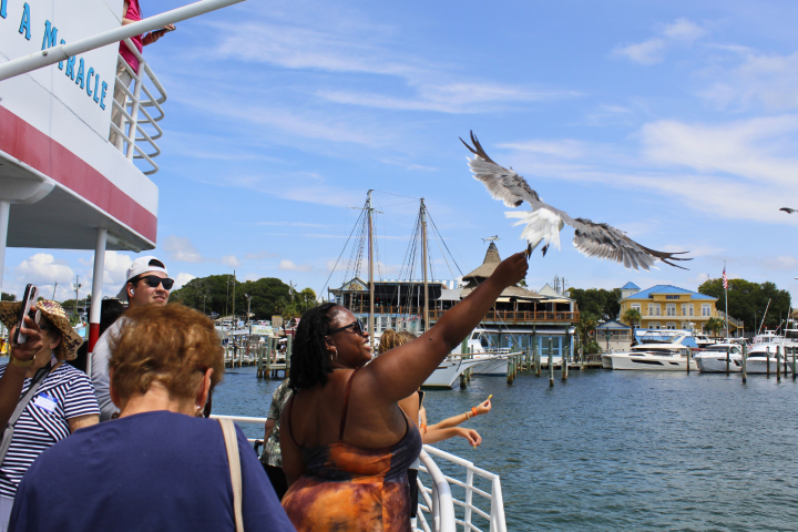 People on a boat feed seagulls near a marina with blue skies.
