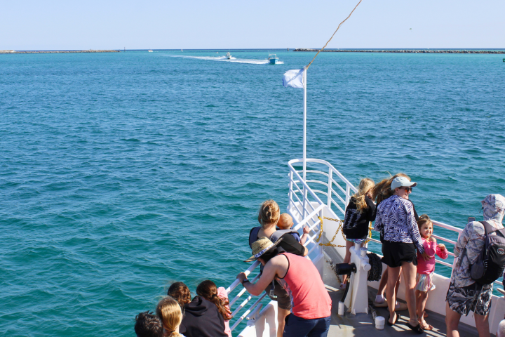 People on a boat deck looking at the sea, with distant boats in the water and a clear sky.
