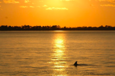 a sunset over a body of water