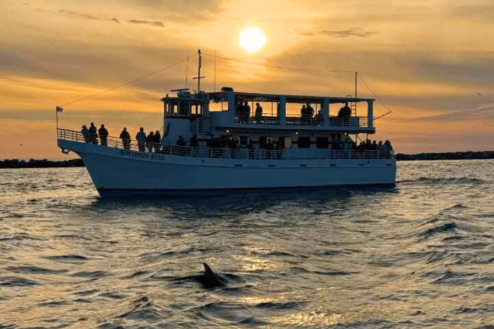 Boat with passengers on water at sunset, dolphin fin visible near the surface.