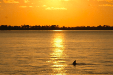 a sunset over a body of water